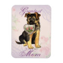 Search for gsd magnets Alsatian