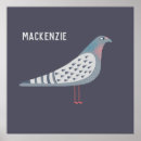 Search for pigeons posters Bird