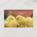 Search for young business cards Cute