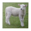 Search for lamb tiles Farm