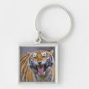 Search for roaring key rings Aggression
