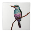 Search for hand painted bird tiles Nature