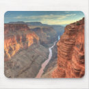 Search for eroded mousepads Outdoors