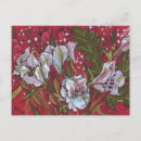 Search for peruvian postcards Alstroemeria