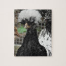 Search for chicken puzzles Cute