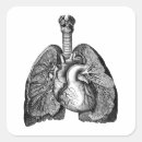 Search for vintage medical stickers Biology