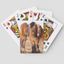 Search for iceland playing cards Animal