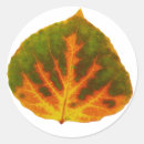 Search for red yellow orange green stickers Autumn