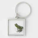 Search for dart frog key rings Shells