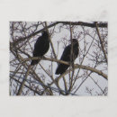 Search for bird tree postcards Wildlife