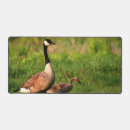 Search for goslings mousepads Cute