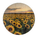Search for sunflower chopping boards Garden