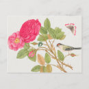 Search for bluejays postcards Floral
