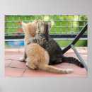 Search for getty posters Friends