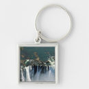 Search for zambia key rings Waterfall