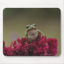 Search for tree frog mousepads Horizontal