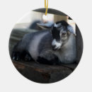 Search for baby goat christmas tree decorations Animal