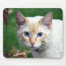 Search for for siamese mousepads Animal