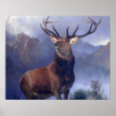 Search for glen posters Deer