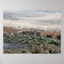 Search for red deer posters Winter