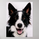 Search for getty posters Animals
