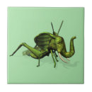 Search for crickets tiles Katydid