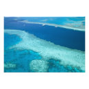 Search for queensland art Tropical