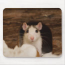 Search for rat mousepads Cute
