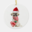 Search for shih tzu christmas tree decorations Santa