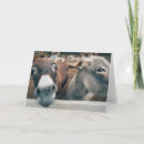 Search for funny donkey christmas cards Xmas