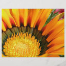 Search for botany flyers Flora
