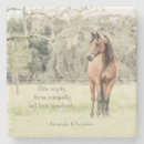Search for arabian coasters Equestrian