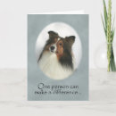 Search for shetland cards Sheltie