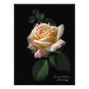 Search for a rose art Bloom
