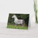 Search for bob cards Dapple grey
