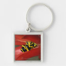 Search for south american key rings Wildlife