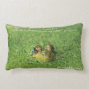 Search for green frog cushions Nature