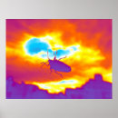 Search for colourful insect posters Beetle