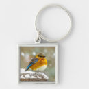 Search for bluebird key rings Snow