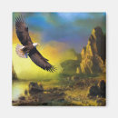 Search for bald magnets Eagle