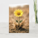 Search for yellow daisy birthday cards Flower