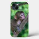 Search for baby monkey iphone cases Animals in the wild