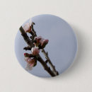 Search for pale pink badges Flowers