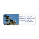 Search for bird nest return address labels Blue