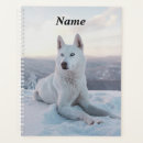 Search for winter office supplies Puppy