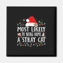 Search for stray magnets Winter