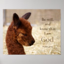 Search for bible verse animal posters Animals