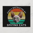 Search for sphynx cat postcards Humour