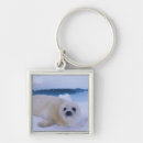 Search for harp seal key rings Animal