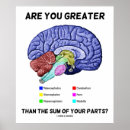 Search for parts of the brain posters Medicine